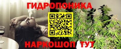 гидра Беслан