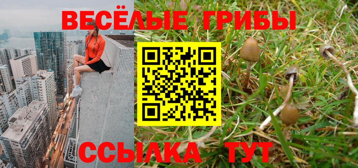 Галлюциногенные грибы Cubensis  Галлюциногенные грибы прущие грибы  Вход с VPN  Калининград 